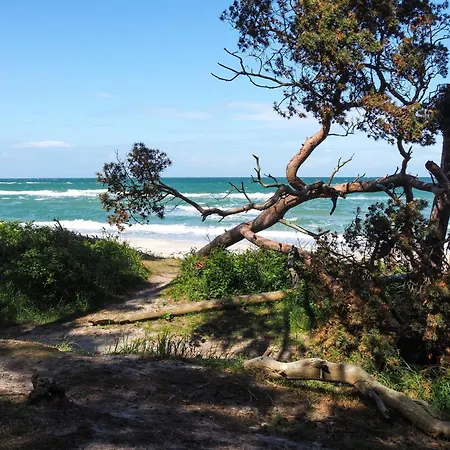 Balticum 6 Apartment Ostseeheilbad Zingst